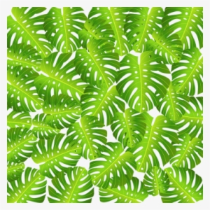 Topical Leaf Background Vector, Tropical Flower, Flowers, - Motif