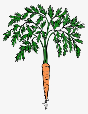 Carrot,orange Carrot,vegetables,free Vector Graphics - Retro Carrot
