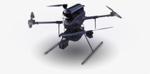 Business & Finance News - Bshark Narwhal 2