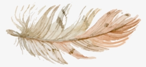 Be - Free Feather Hand Drawing