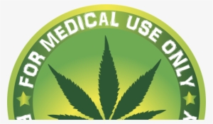 Cbd For Pain - Set 4 For Medical Use Only Marijuana Leaf 3" Sew On