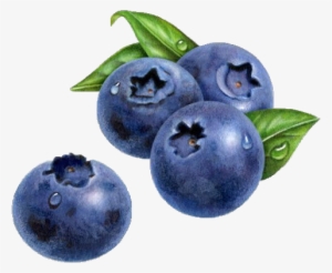 Jpg Black And White Download Blueberry Painting Muffin - Blueberry Painting