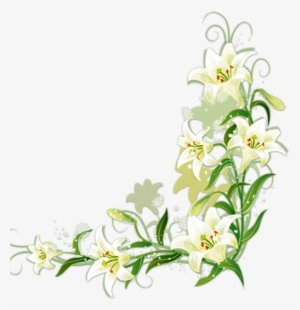 lily flower png free hd lily flower transparent image pngkit lily flower png free hd lily flower