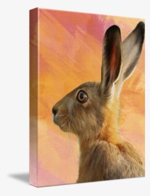 Wild Hare - Wild Hare Note Card