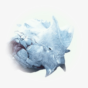 Bdo Candidum Sea Monster - Bdo Candidum
