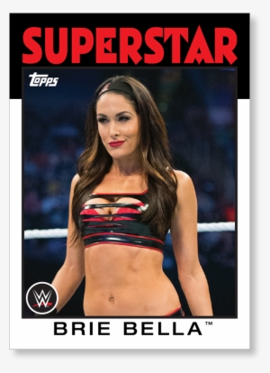 2016 Topps Wwe Heritage Wrestling Hobby Box