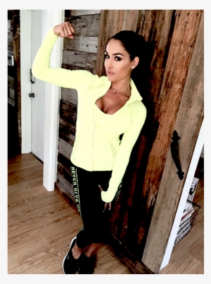 Never Give Up - Nikki Bella