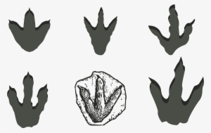 Dinosaur Footprints Reservation Stegosaurus - Dinosaur Footprint Clipart