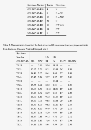 Number Of Tracks In And Directions Of Dramaeosauripus - Odds Ratio