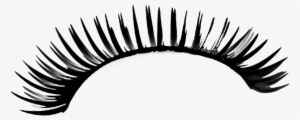 Eyelashes Drawing Png - Eyelashes Png