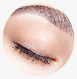 Read More‎ - Eyebrow