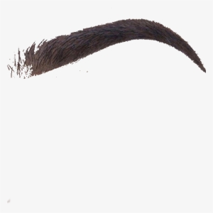 Eyebrow Texture With Alpha - Бровь Пнг