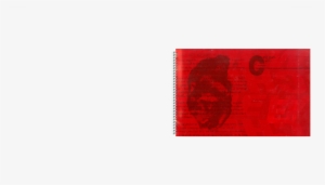 Photo Illustration/chew Background Design By Woojoo - Graphic Design