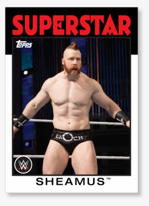 Sheamus Wwe Heritage Base Poster Png Sheamus Motivational