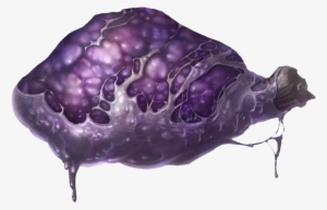 Dripping Flesh - Vegetable