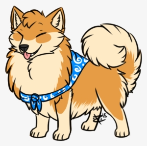 Happy Pomeranian - Companion Dog