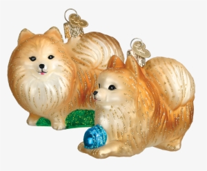 Click - Old World Christmas Pomeranian Glass Ornament