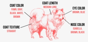 Appearance - Roberto Clemente Pirates