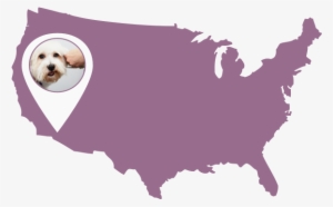 Map Hollywood Grooming@2x - Hillary And Trump States