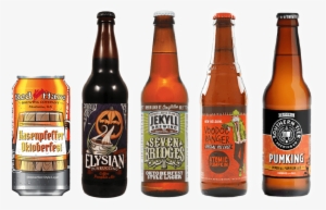 Beers To Ease Into Fall With - Elysian Punkuccino Coffee Pumpkin Ale - 22 Fl Oz Bottle