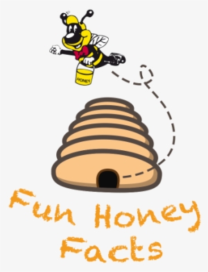 Fun Facts Mudgee Haven