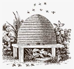 Beekeeping Workshop Feb