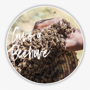 Beehive - Depositphotos