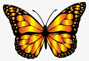 Monarch Butterfly Clipart