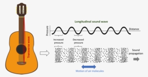 The Transverse Wave Of The Guitar String Creates A - Wave