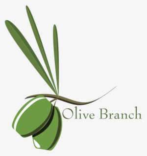 28 Collection Of Olive Branch Petition Clipart - Olive Branch Petition Drawing