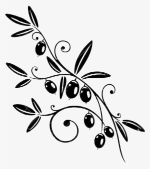 Olive Branch - Olive Branch Vector Png Clipart