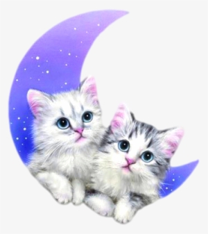 Kittens Transparent Cute Svg Library Library - Moving Pictures Good Night