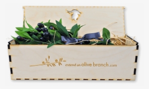 $39 - - Giant White Arum Lily