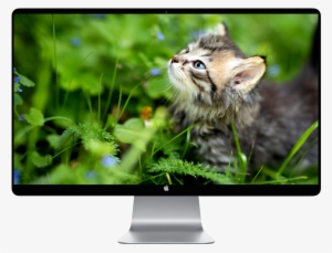 Apple Mac Mini - Core I5 1.4 Ghz - 4 Gb Ram - 500 Gb