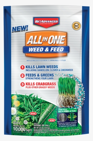 Bioadvanced All In One Weed And Feed Granules, 10,000 - Bayer Advanced 704416t All In One Weed