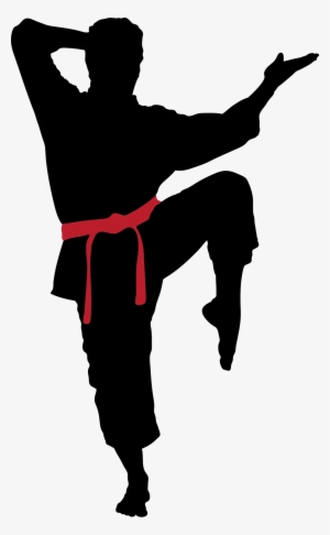 Brazilian Jiu Jitsu Evolution