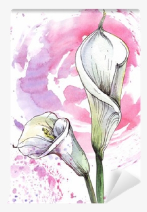 Flower Calla Watercolor Illustration Wall Mural • Pixers® - Watercolor Painting