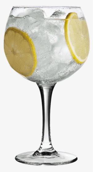 I Don't Know About You, But Other Than Knowing That - Orange Gin & Tonic Png