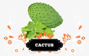 The Nopal Is One Of The Fundamental Symbols Of Mexico - Mexican Beer Png