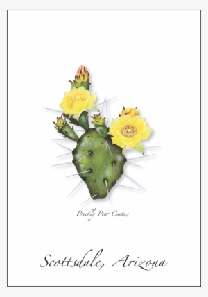 Prickly Pear Cactus - Prickly Pear Cactus Illustration