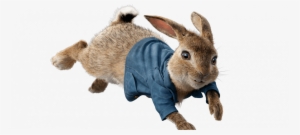 Peter Rabbit - Battle For The Garden By Beatrix Potter