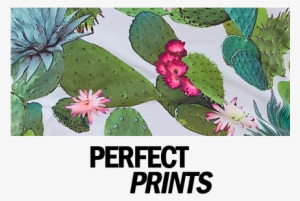 Printed Bikinis And Swimsuits - Freya Bikini Cactus