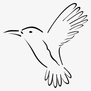 Kolibri Music
