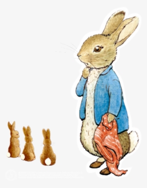 Peter Rabbit - Peter Rabbit Movie Png - 455x803 PNG Download - PNGkit