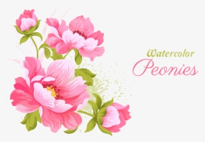 Pink Flowers Wedding Invitation Watercolor Painting - Watercolor Peonies Vector