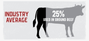 Black Hawk Differences-02 - Sweetumswalldecals Cow Wall Decal Colour: Navy