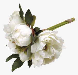 White Peonies - Condolences For Loss Card