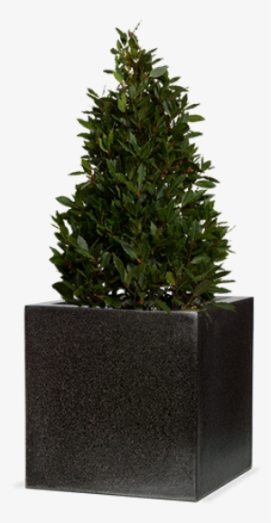 Capi Lux Terrazzo - Terrazzo