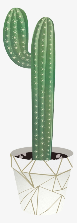 Tree People, Indoor Plants, Libraries, Diagram, Scenery, - Cactus