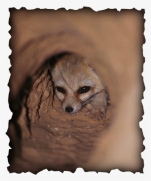 While This May Not Seem Like A Major Deal, Many People - Swami Nityananda Giri